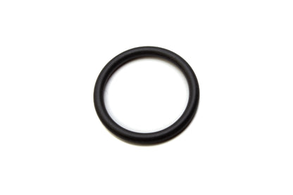 806924120 Chain Cover O-Ring