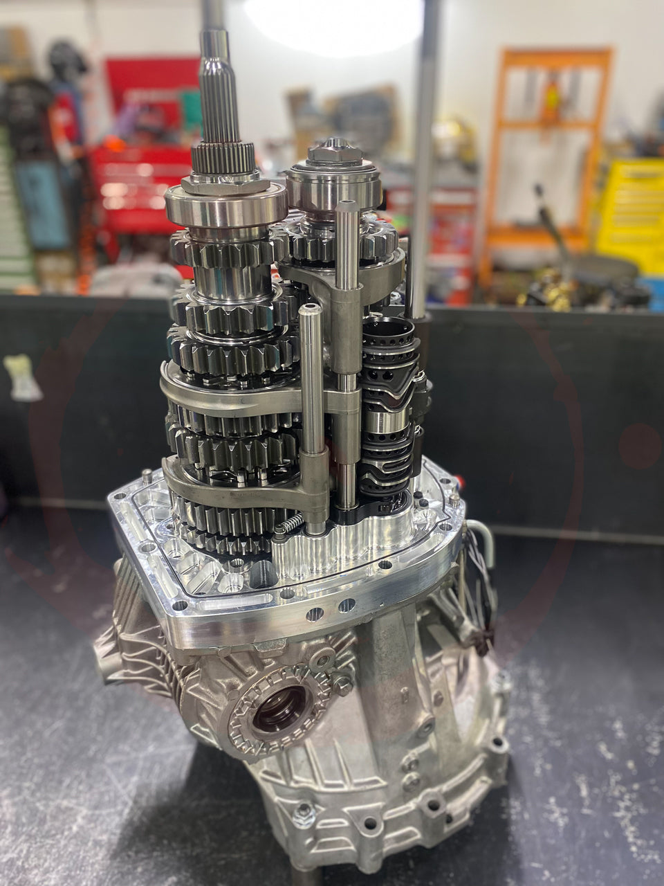 XShift R4 Sequential Straight Cut Dog Gear Kit